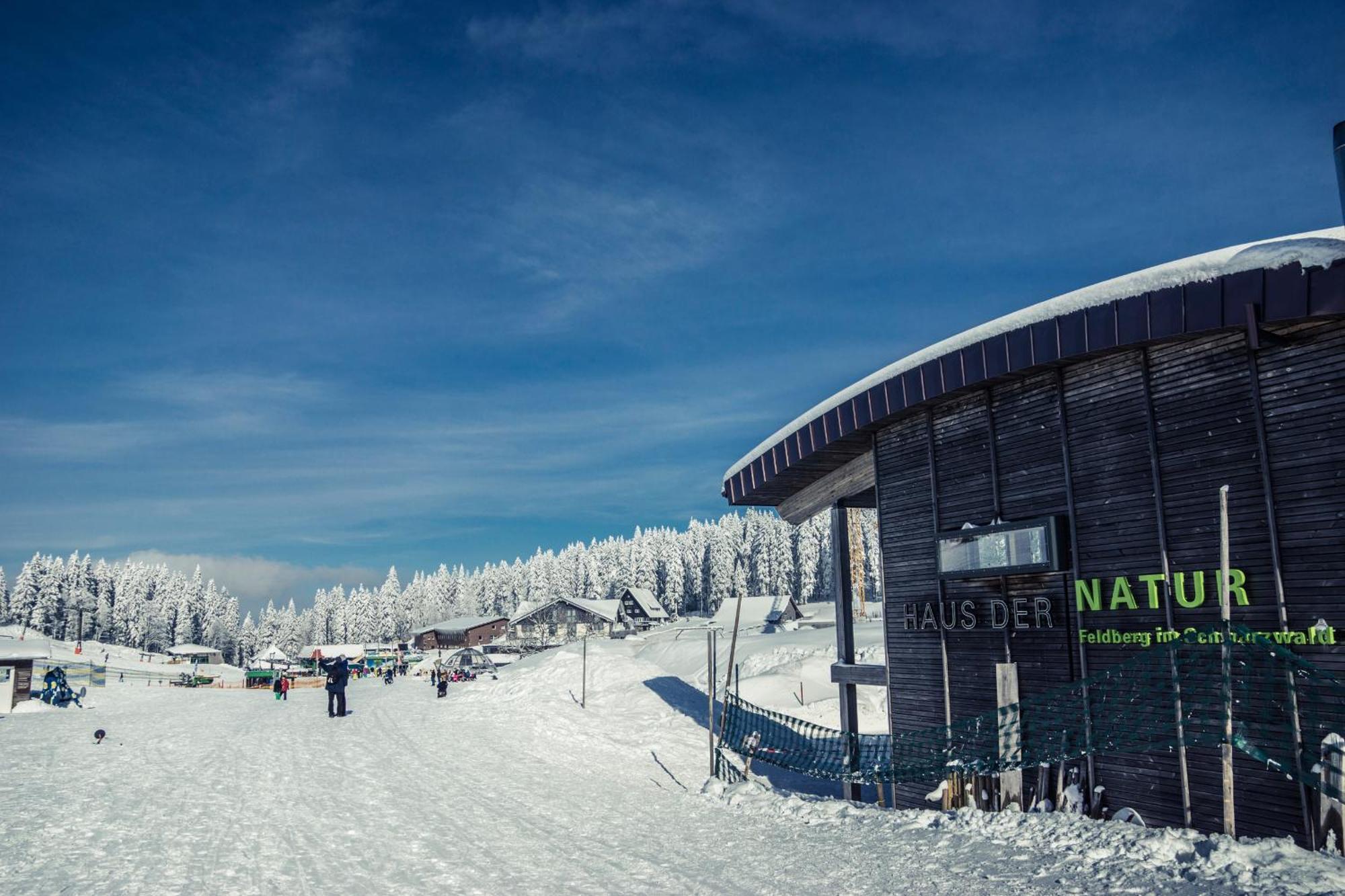 Drei Tannen - Wohnung 07 - Apartmenthaus, Titisee, Feldberg Экстерьер фото