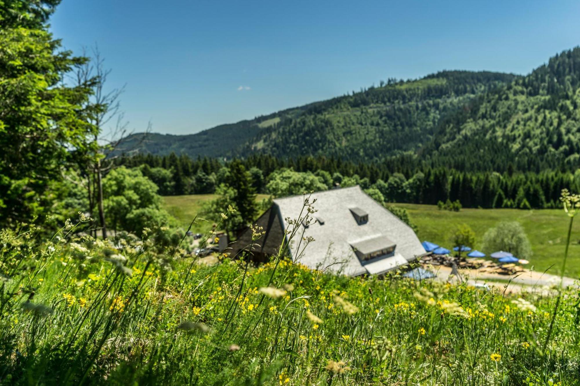 Drei Tannen - Wohnung 07 - Apartmenthaus, Titisee, Feldberg Экстерьер фото