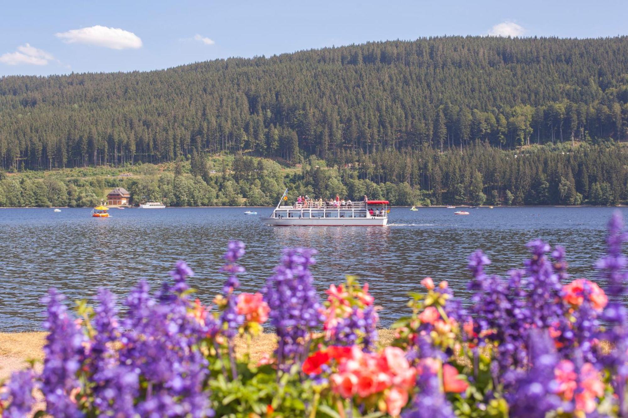Drei Tannen - Wohnung 07 - Apartmenthaus, Titisee, Feldberg Экстерьер фото